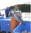 Princess Guests Enjoy Fresh Alaska Salmon as Part of Cruise