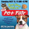 Bow-Wows & Meows Pet Fair Returns in October