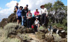 Call of the Wild: SCV Community Hiking Club Sched. (Sept. 2015)