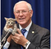 Antonovich Pet of the Week (11-22-2016): Ginger, Holly