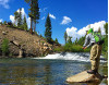Chasing Western Trout with the Western Native Trout Initiative