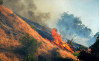 Brush Fire Near Placerita Canyon Burns 5 Acres