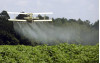 EPA Eases Restrictions on Pesticide; State Looks to Ban It