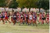 After Strong WSC Placing, Cougars Cross Country Qualifies for So Cal Championships