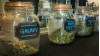 LA’s Retail Pot Exceeding Expectations; Over $2 Million in First Two Months