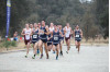 TMU Cross Country Poised for Podium Finish