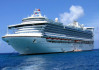 Princess Parent Offers Cruise Ships as Temporary Hospitals