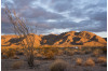 BLM Issues EIR for Mojave Desert Use, Seeks Public Comment