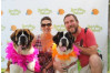 Oct. 14: Bow-Wows & Meows 18th Annual Pet Fair