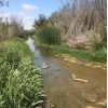 SCV Water Directors Adopt Santa Clara River Stewardship Plan