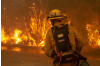 Feds Offer Low-Interest Loans to LA County Wildfire Victims