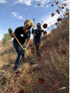 SCV Water, TreePeople, Sierra Club Team for Restoration Field Day