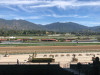 California Horse Racing Rules Tightened Amid Spate of Deaths