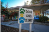 LA County Closes All Animal Care Shelters Monday