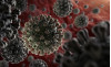 Study: COVID-19 Death Rate Far Higher Than Flu
