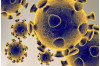 DOD, Civilian Counterparts Combat Coronavirus COVID-19