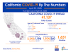 California Saturday: 41,137 Cases, 1,651 Deaths