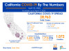 California Saturday: 28,963 Cases Incl. 3,370 Healthcare Workers; 1,072 Deaths
