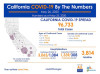 Tuesday COVID-19 Roundup: 96,733 Statewide, 1,135 Cases in SCV