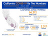 California Tuesday: 56,212 Cases, 2,317 Deaths