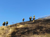 Cambria Fire Scorches 5 Acres in Placerita Canyon