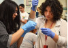 CSUN’s Biomedical Research Training Program Receives STEM Award for Diversity, Inclusion