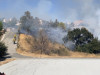 Firefighters Quickly Douse 4-Acre ‘Carl Fire’ in Newhall