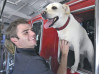L.A. County Firefighters in SCV Embrace Therapy Dog Echo