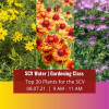 SCV Water’s Upcoming Virtual Gardening Class to Highlight SCV’s Top 30 Plants for Landscaping