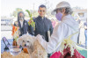 OLPH Parishioners Gather for Annual Blessing of the Animals