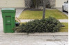 Waste Management, City Offering Christmas Tree Recycling until Jan. 8