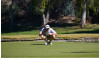 COC Men’s Golf Tops Field at SoCal Preview