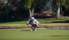COC Men's Golf Shirts Field at SoCal Preview