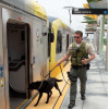 L.A. County Sheriff Transit Services Bureau Heightens Deployment