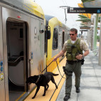 LA County Sheriff's Transit Services Office Stepping Up Deployment