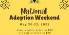Castaic Animal Care Center Offers Walk-in Visits in Time for National Adoption Weekend