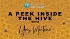 July 19: Explore the Life of a Honeybee with Yves Montane