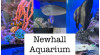 Newhall Aquarium, Learning Center Seeks Volunteers