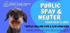 August 18: Public Spay, Neuter Voucher Clinic at Castaic Animal Center