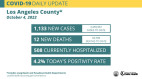 Tuesday COVID Roundup: 1,133 New Cases in County, 12 Deaths Includes Child