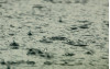 Ocean Water Quality Rain Advisory in Effect