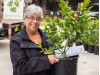 Jan. 28: Free Fruit Tree Giveaway at Old Town Newhall Farmers Market