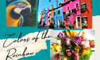 Feb. 16: Entry Deadline SCAA Gallery Show ‘Colors of the Rainbow’