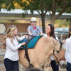 Aug. 26: Carousel Ranch 26th Heart of the West Fundraiser
