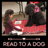 Have Your Kids ‘Read to a Dog’ at Santa Clarita Public Library