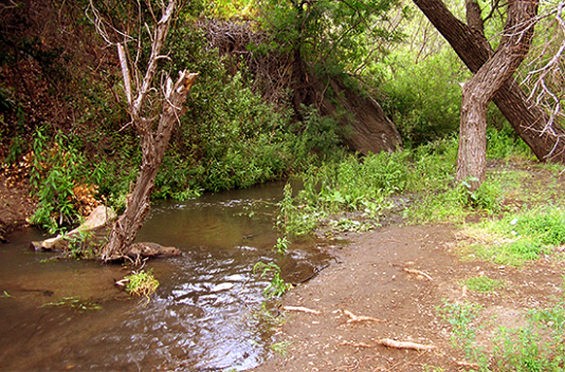 Salvation Coming to Upper Bouquet Canyon 10082015