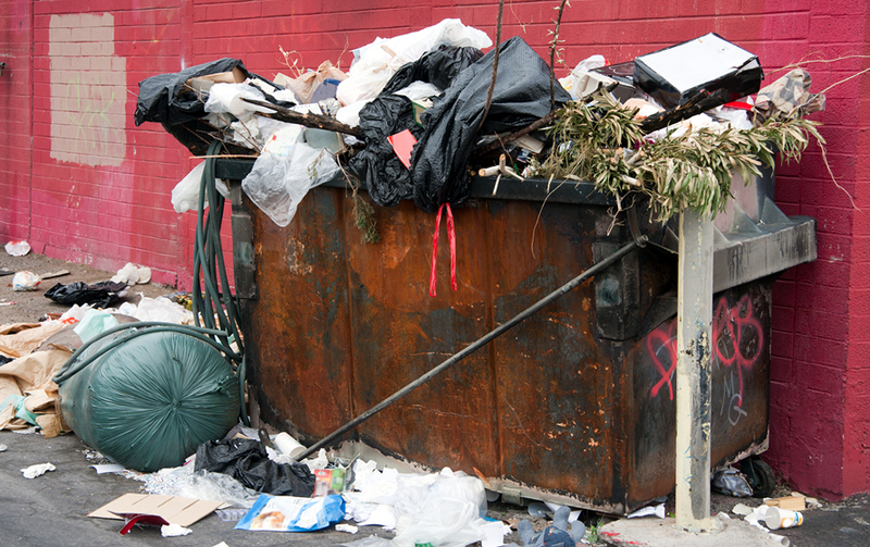 SCVNews.com | Opinion/Commentary: Dumpster Life | 03-01-2015