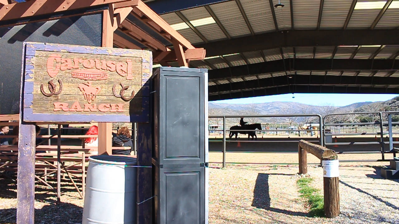 SCVNews.com | Carousel Ranch Aims to Raise 50K in 21 Days | 02-08-2016