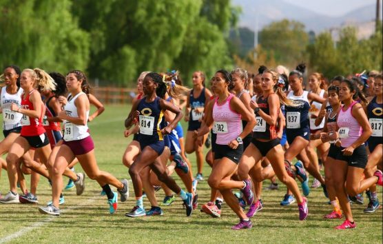COC women's cross country Photo: Mike Whitman