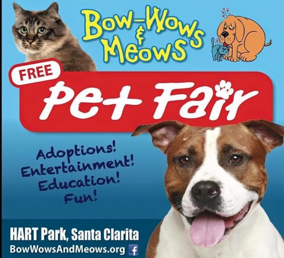 Bow-Wows & Meows Pet Fair